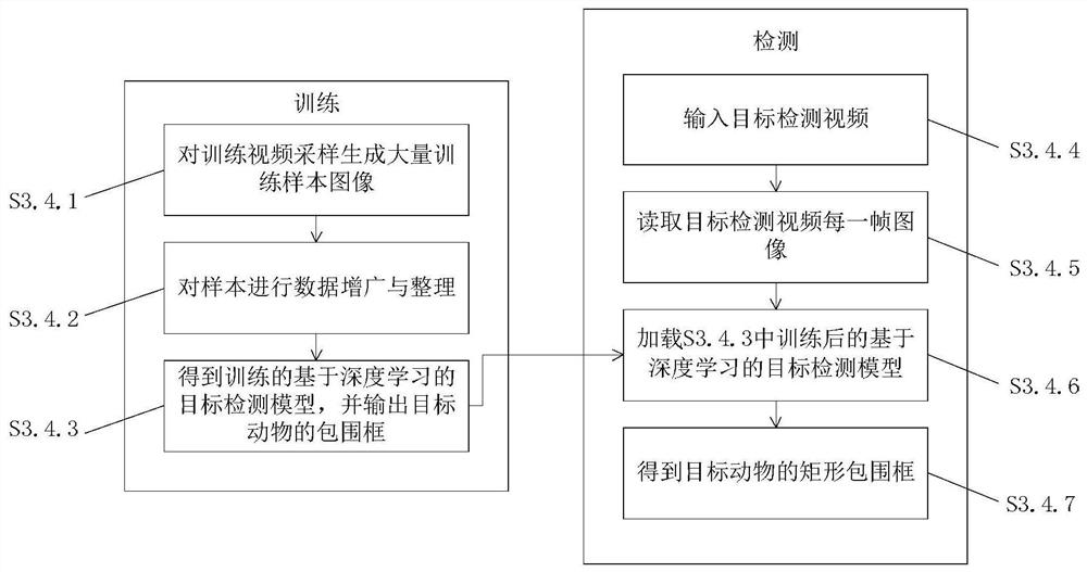 Animal group trajectory tracking method and system