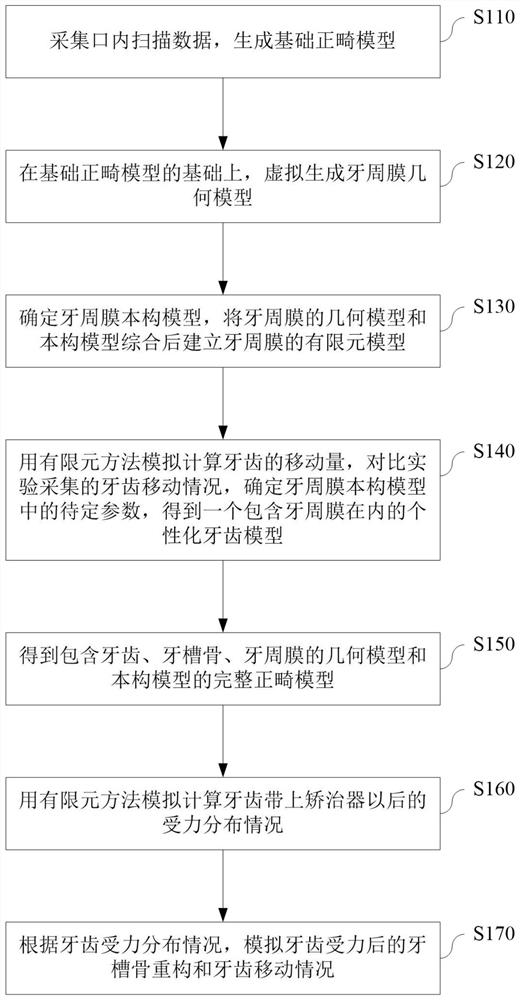 A method and device for analyzing the force of a tooth model simulating wearing an appliance