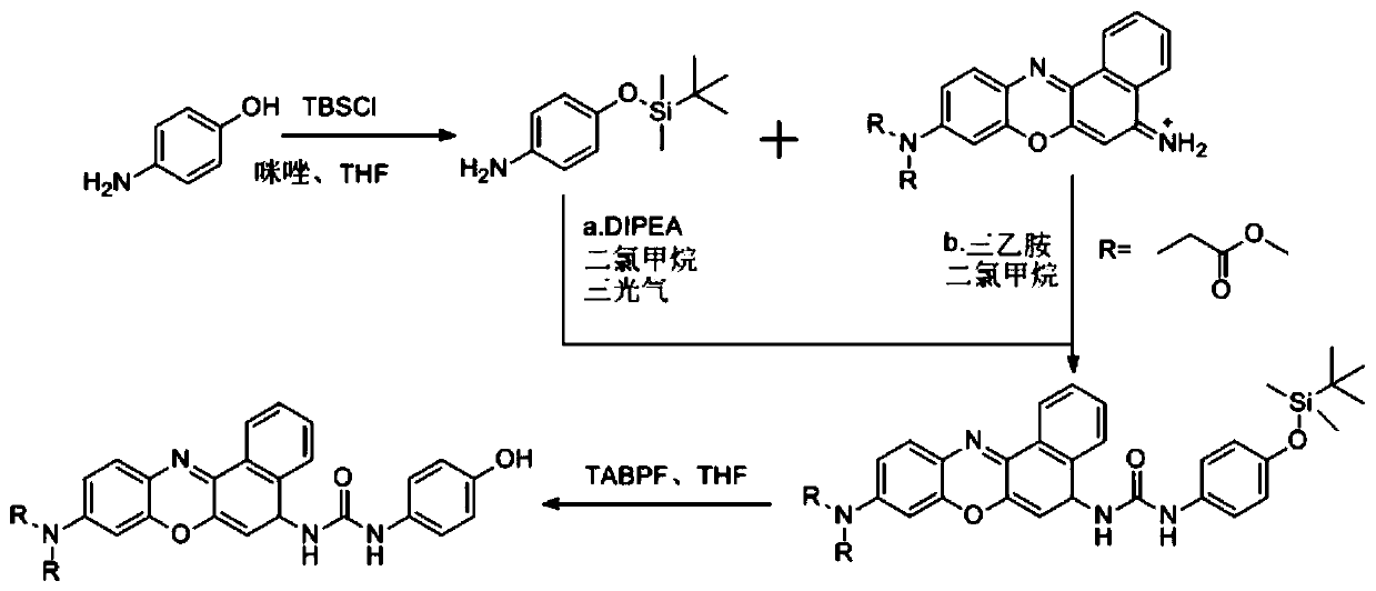 A kind of fluorescent probe and its preparation method and application in tyrosinase detection