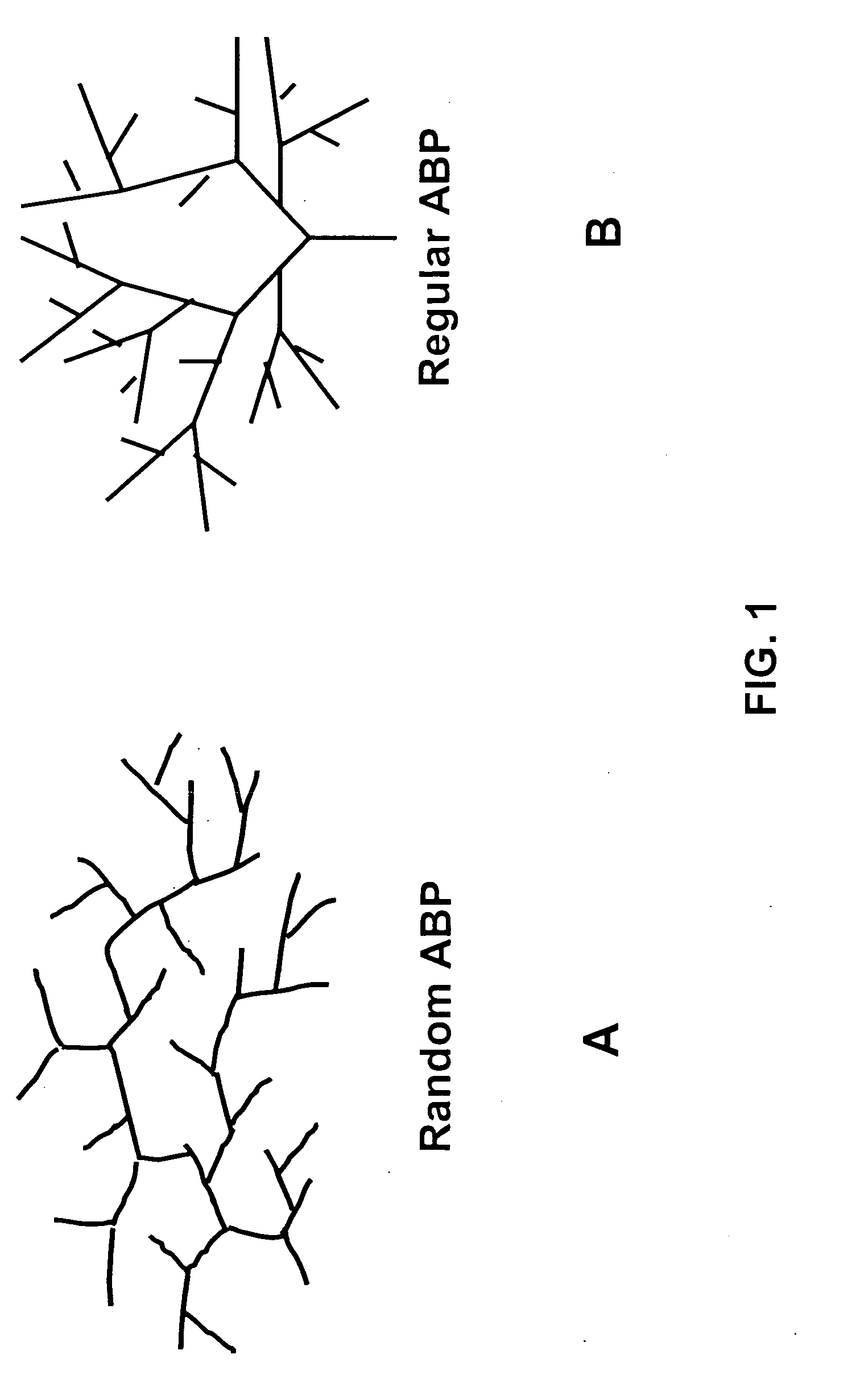 Asymmetrically branched polymer conjugates and microarray assays