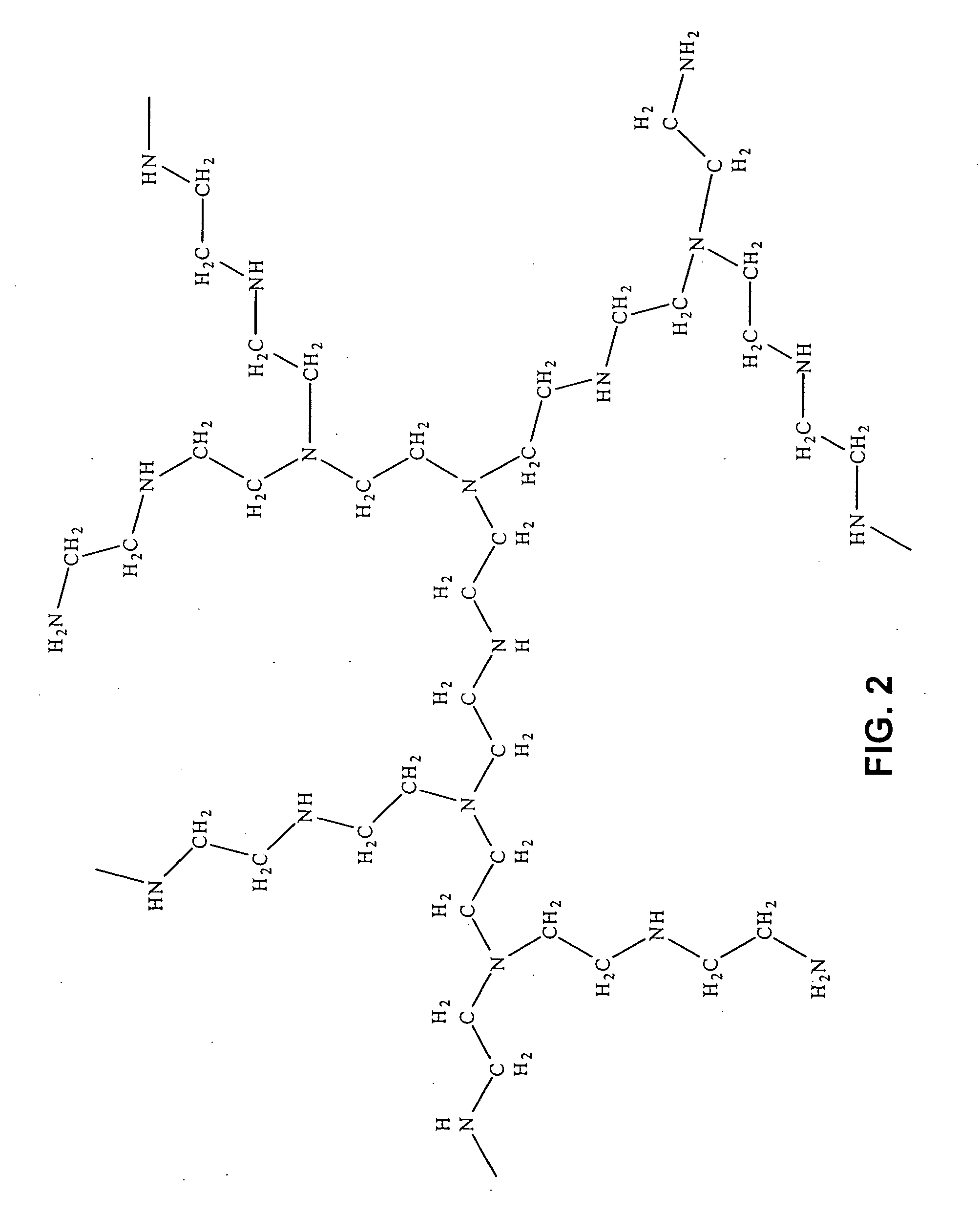 Asymmetrically branched polymer conjugates and microarray assays