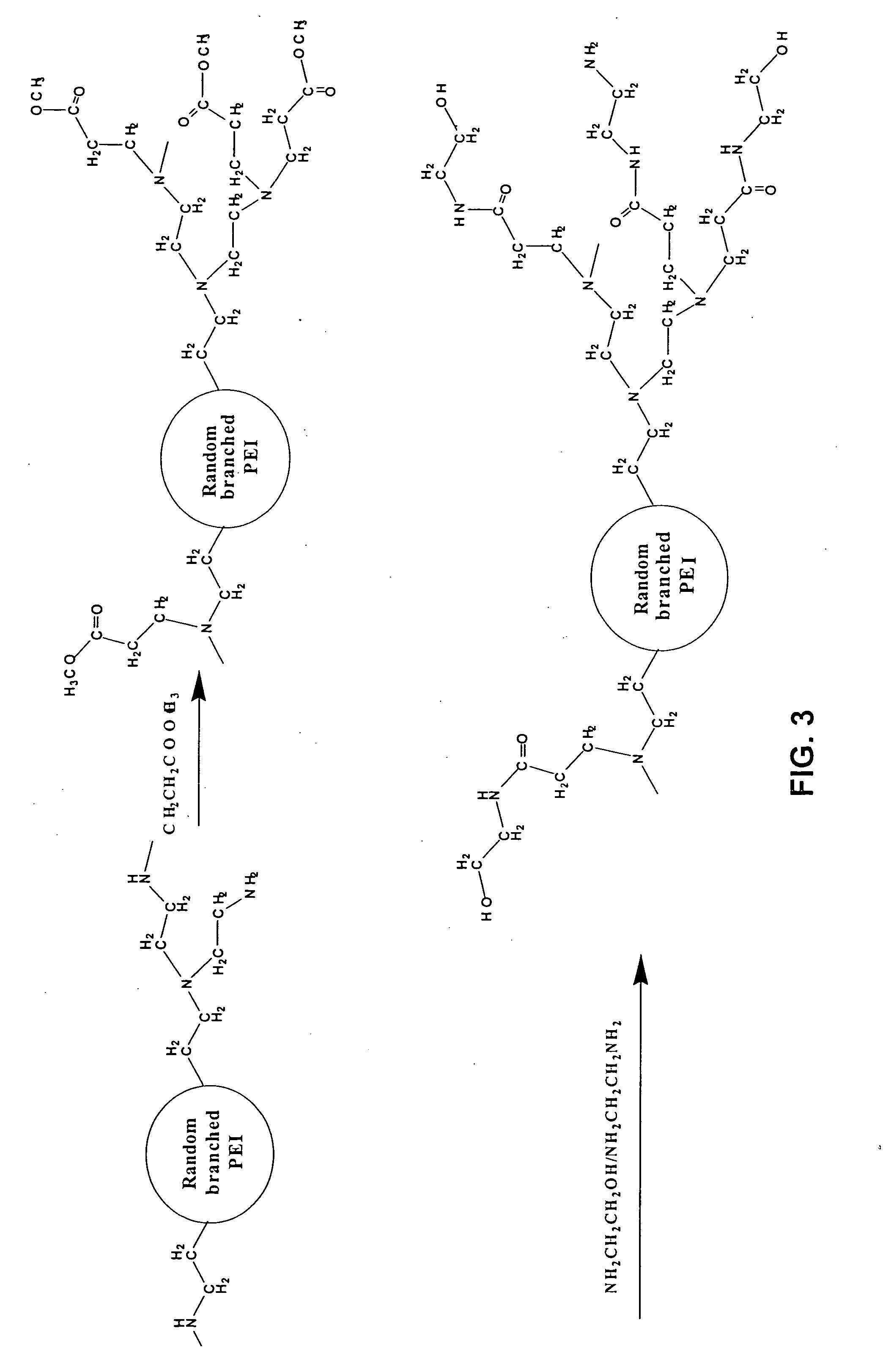 Asymmetrically branched polymer conjugates and microarray assays