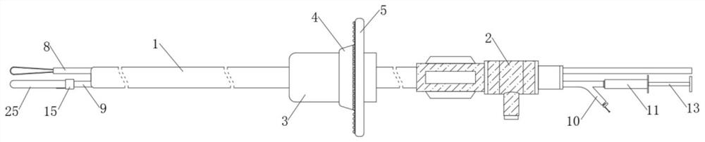 Rapid loop forming catheter for filter auxiliary recycling