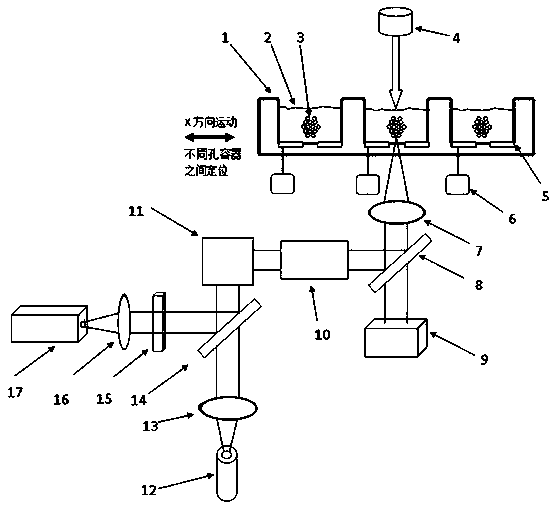 Method and apparatus for detecting pathogen distribution and drug resistance of pathogen species