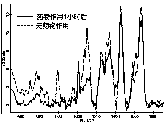 Method and apparatus for detecting pathogen distribution and drug resistance of pathogen species