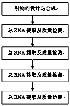 Fluorescent quantitative PCR detection primers and detection method of yak muscle fiber type composition