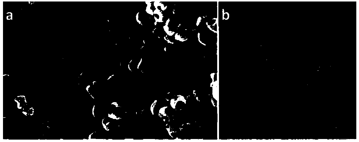 Preparation method of alpha-phase ferric oxide/platinum hybridized nanoring