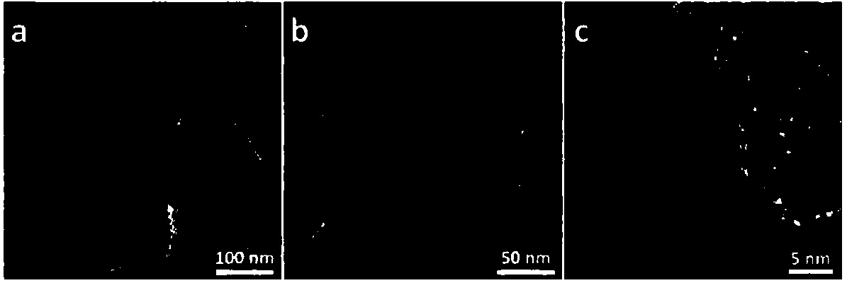 Preparation method of alpha-phase ferric oxide/platinum hybridized nanoring