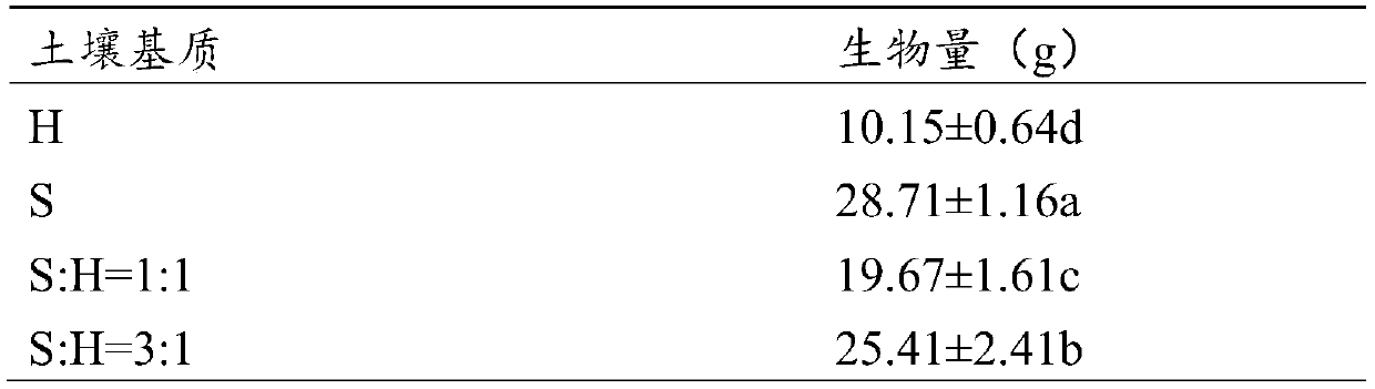 Method for improving compacted yellow clay structure of opencast dump by sandy soil