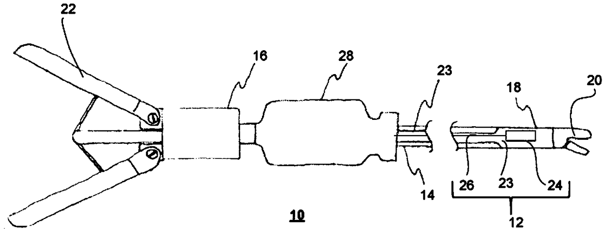 Sensor film for endoscopic instruments