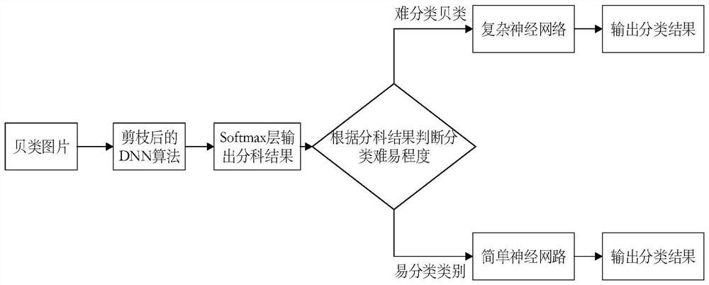 Shellfish classification and identification method and device based on computer vision