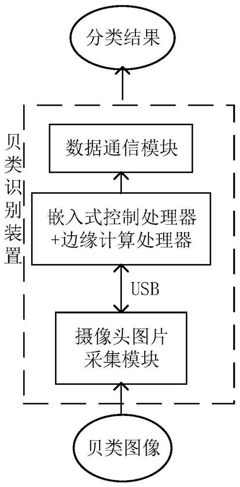 Shellfish classification and identification method and device based on computer vision