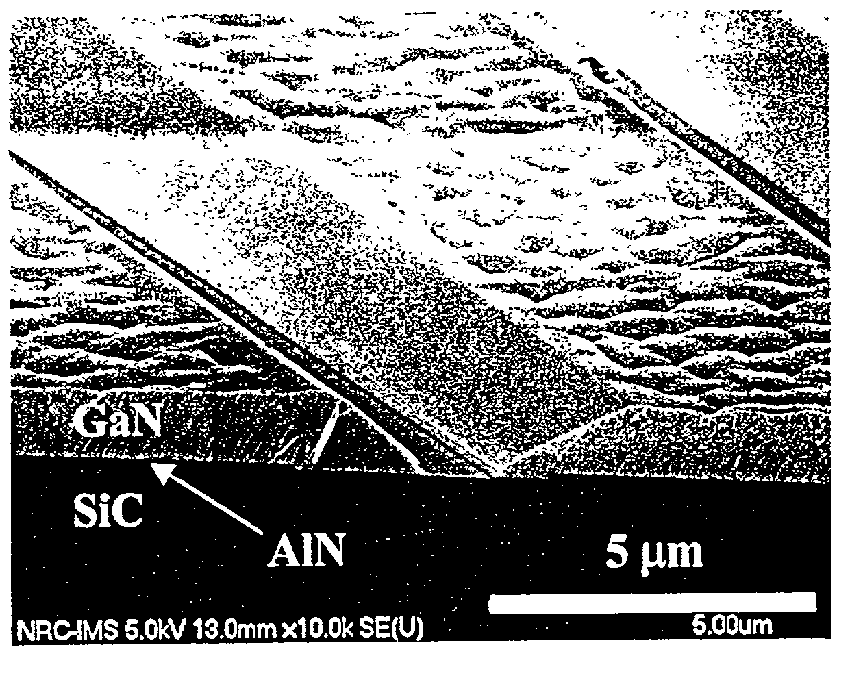 GaN selective growth on SiC substrates by ammonia-source MBE