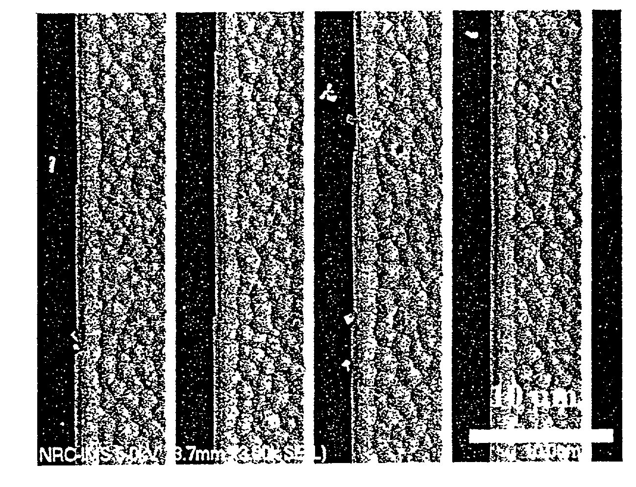 GaN selective growth on SiC substrates by ammonia-source MBE