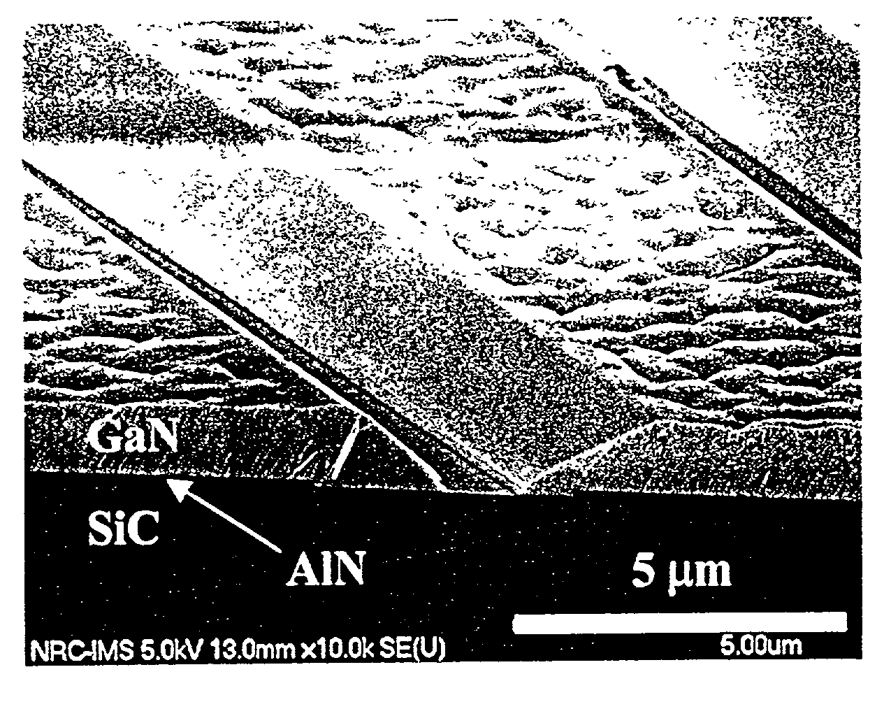 GaN selective growth on SiC substrates by ammonia-source MBE