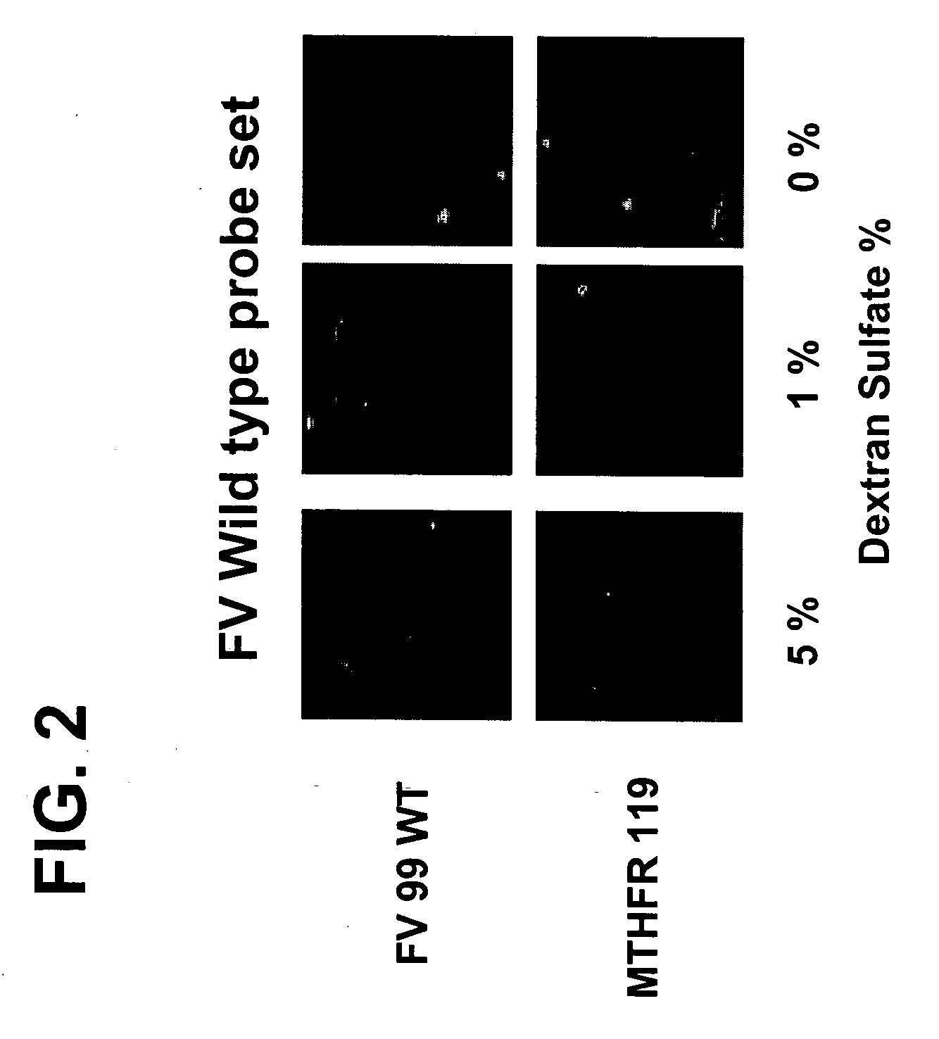 Method for detecting analytes based on evanescent illumination and scatter-based detection of nanoparticle probe complexes