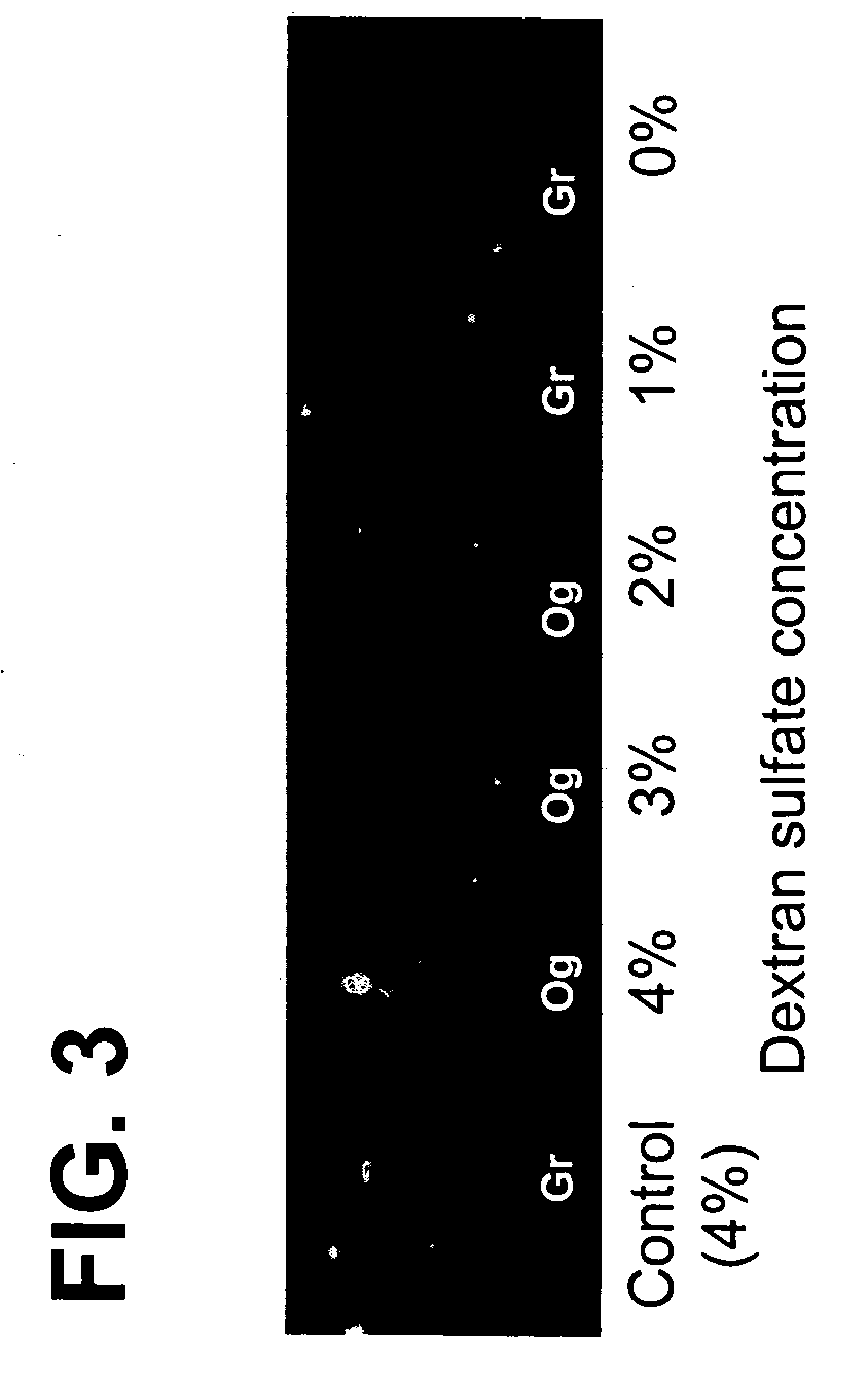 Method for detecting analytes based on evanescent illumination and scatter-based detection of nanoparticle probe complexes