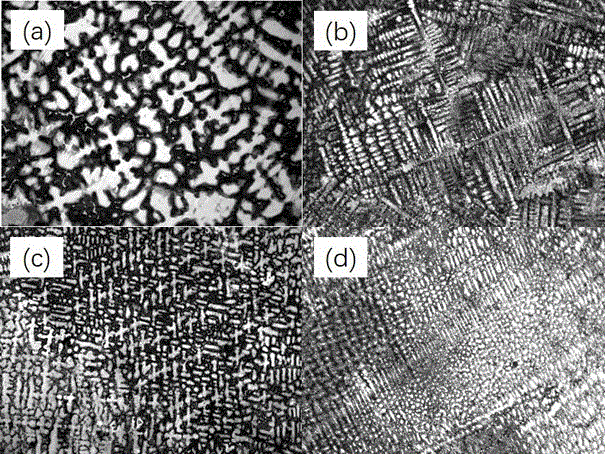 Preparation method of high-elasticity corrosion-resistant and wear-resistant Cu-Ni-Sn alloy