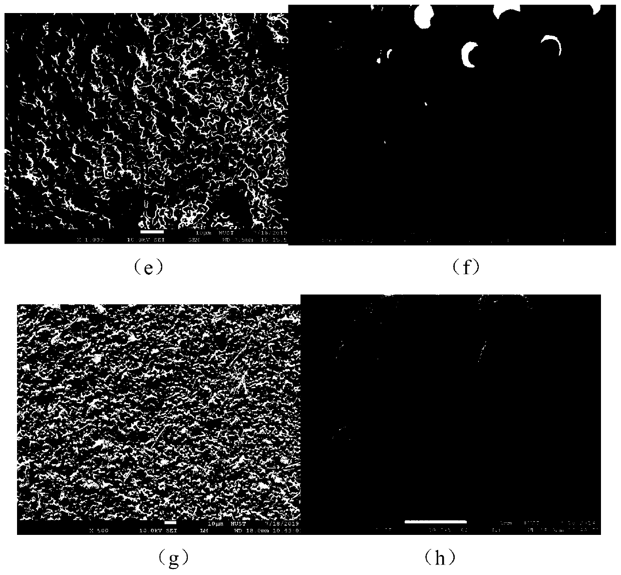 Biodegradation performance and strength controllable biological composite ceramic bracket and preparation method thereof