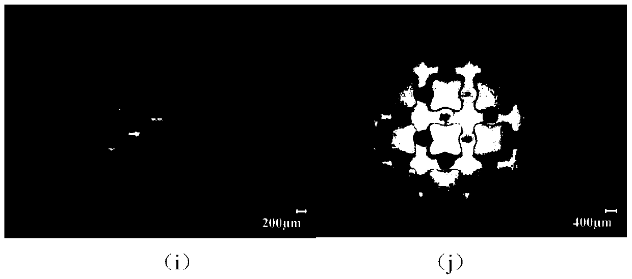 Biodegradation performance and strength controllable biological composite ceramic bracket and preparation method thereof