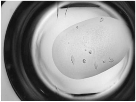 Expression purification, crystal structure and application of mycobacterium tuberculosis ribosomal protein S7