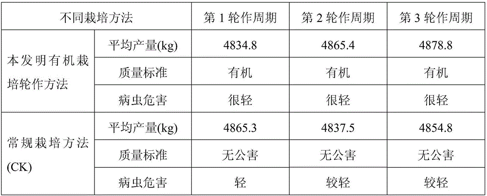 Organic crop rotation cultivation method for long-season solanum melongena, pisum sativum, early oryza sativa and eleocharis dulcis