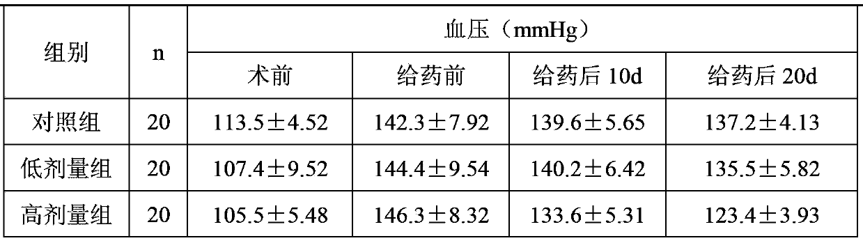 Method for preparing radix puerariae algae health drink