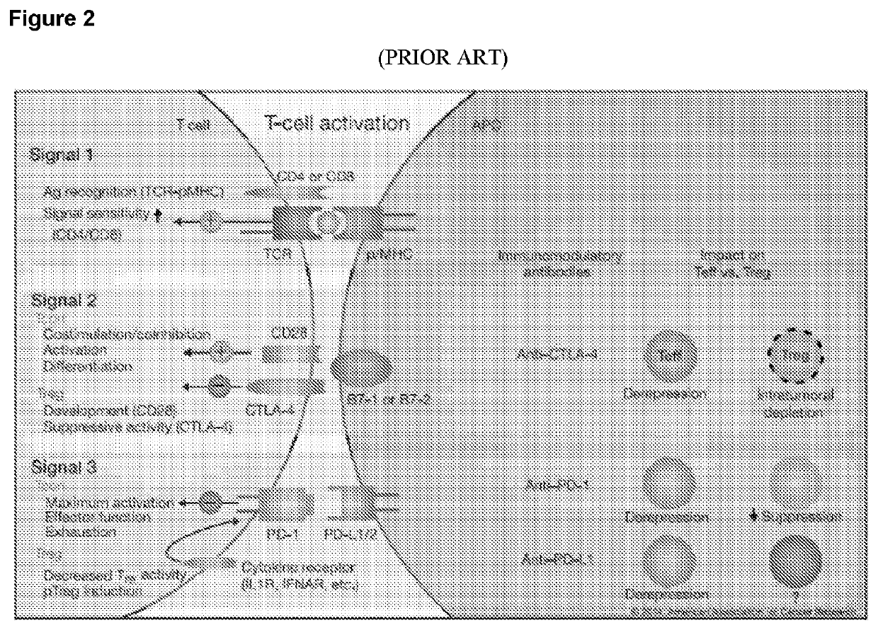 Combination tumor immunotherapy