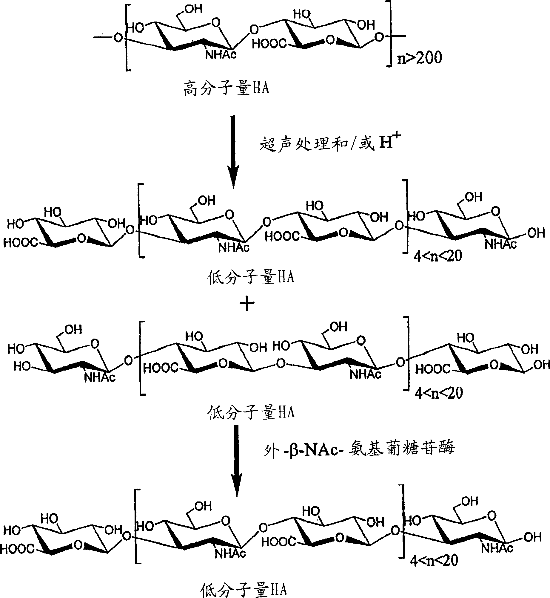 Immunogenic conjugates of low molecular weight hyaluronic acid with polypeptide toxins