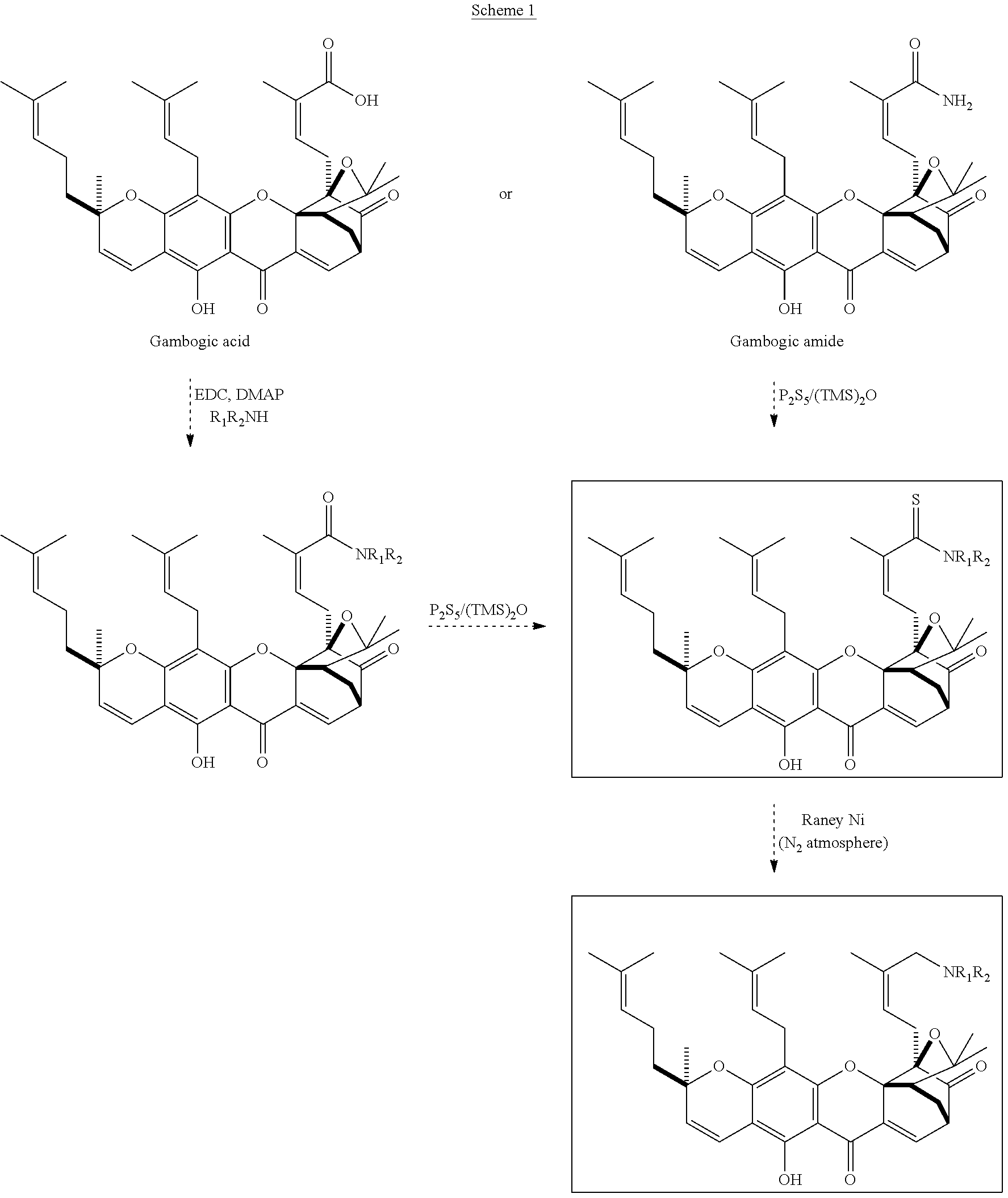 GAMBOGIC AMINE, A SELECTIVE TrkA AGONIST WITH NEUROPROTECTIVE ACTIVITY