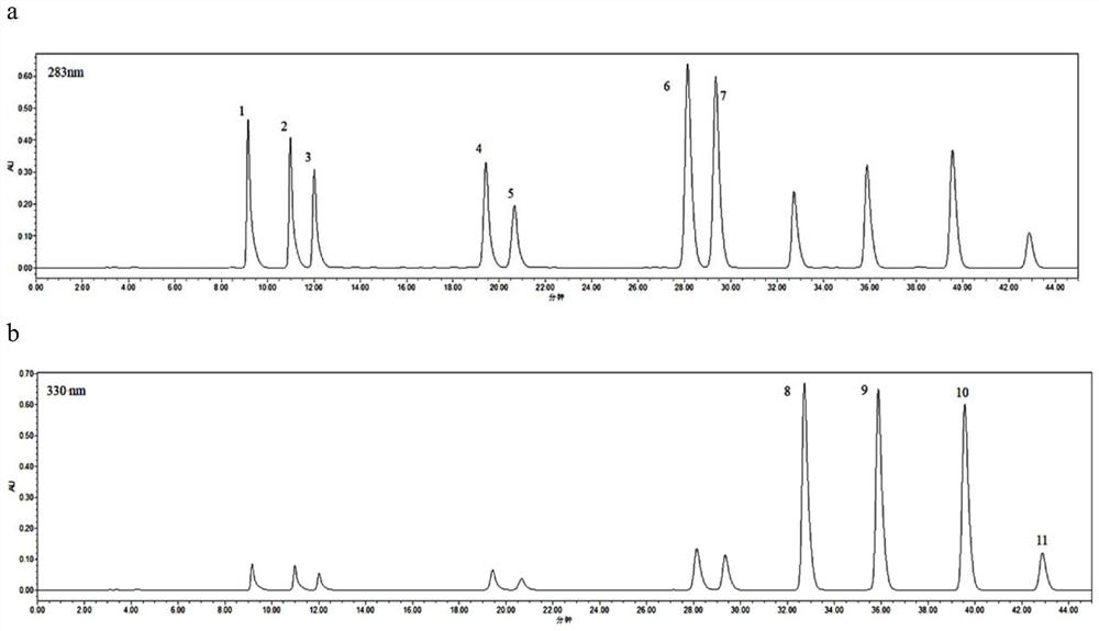 Ultrasound-assisted extraction method of flavonoid compounds in citrus peel