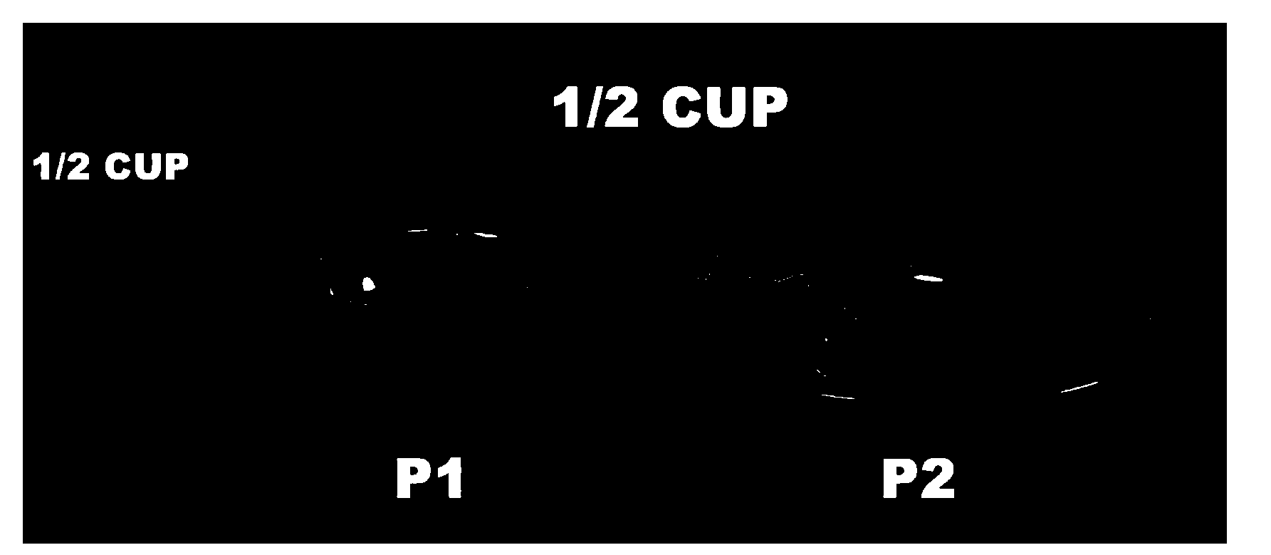 Dietary intake investigation system and method