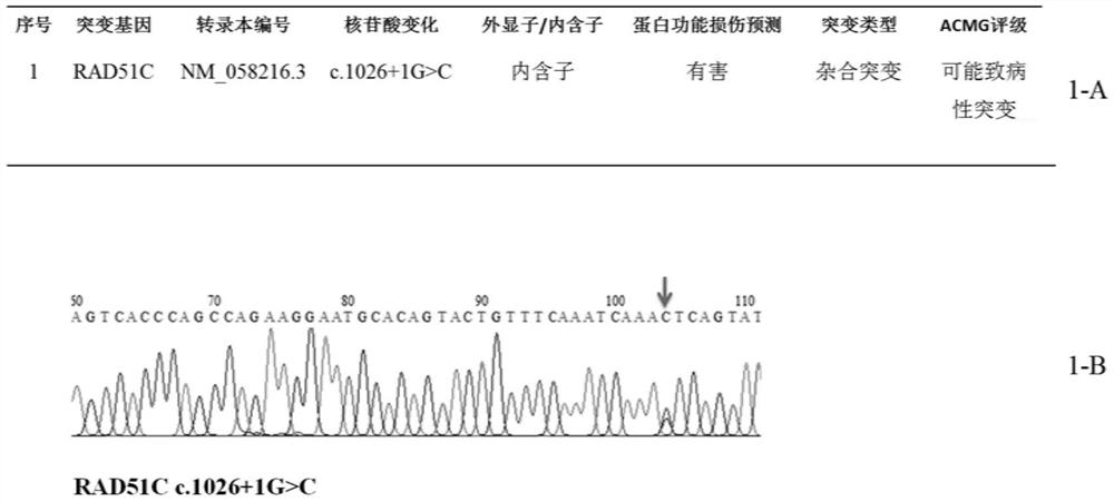 Mutant gene group, library and kit for evaluating risk of female malignant tumor