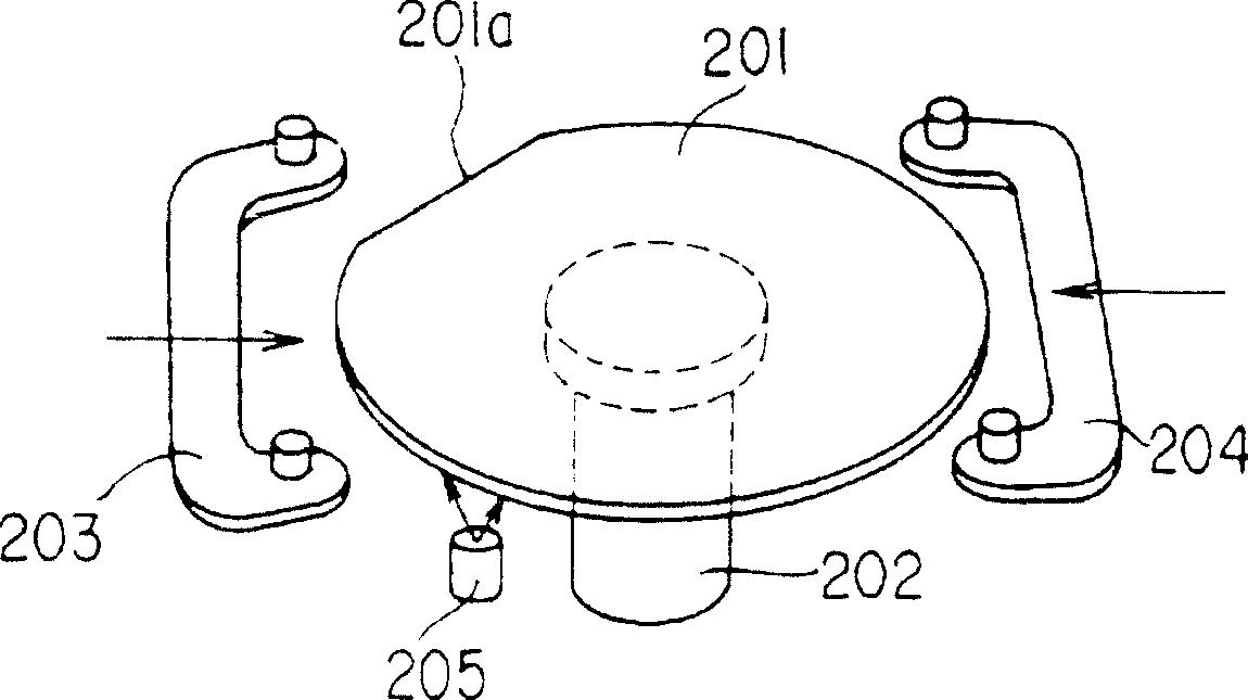 Chip check apparatus