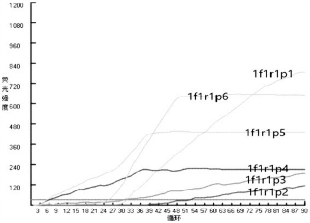 Primer probe set and detection method for detecting severe fever with thrombocytopeniasyndrome virus by real-time fluorescence RNA RT-RPA (reverse transcription-recombinase polymerase amplification)