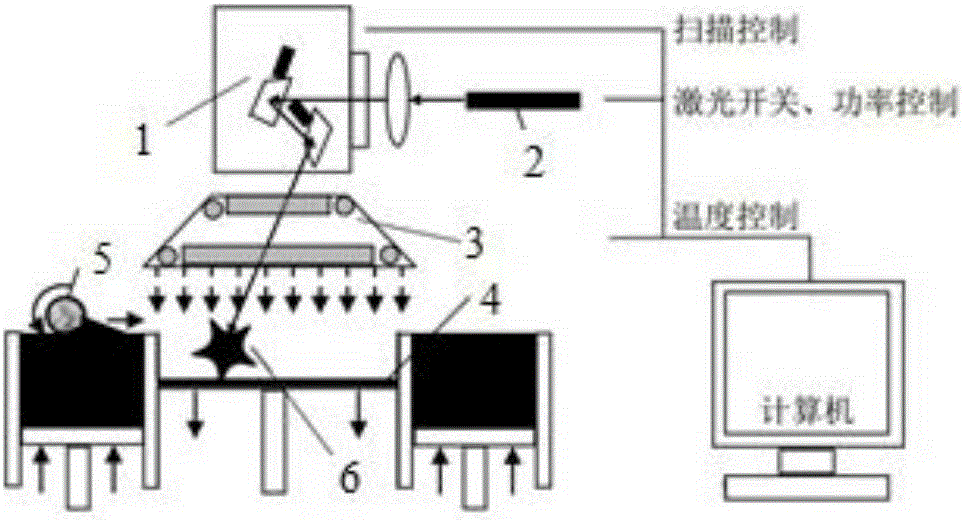 A high molecular weight chitosan material with controllable molecular weight suitable for 3D printing and its molding method