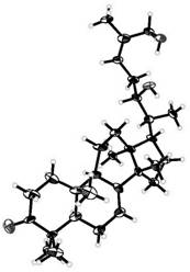 Tripterygium wilfordeuphone, preparation method thereof and application of tripterygium wilfordeuphone in medicine