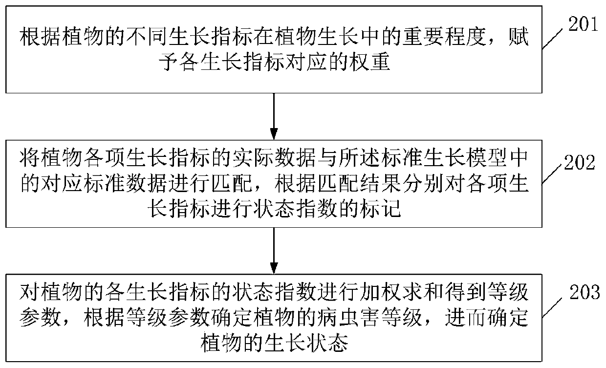 A pest identification method and device