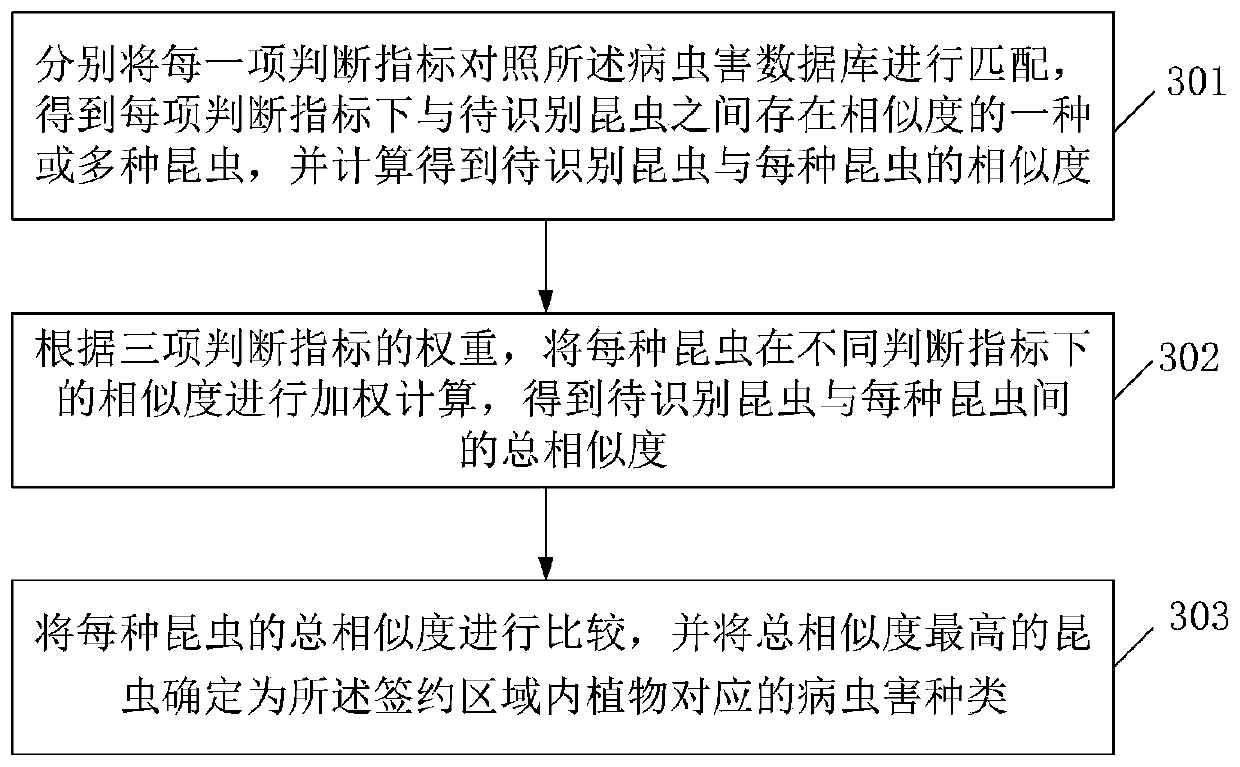 A pest identification method and device