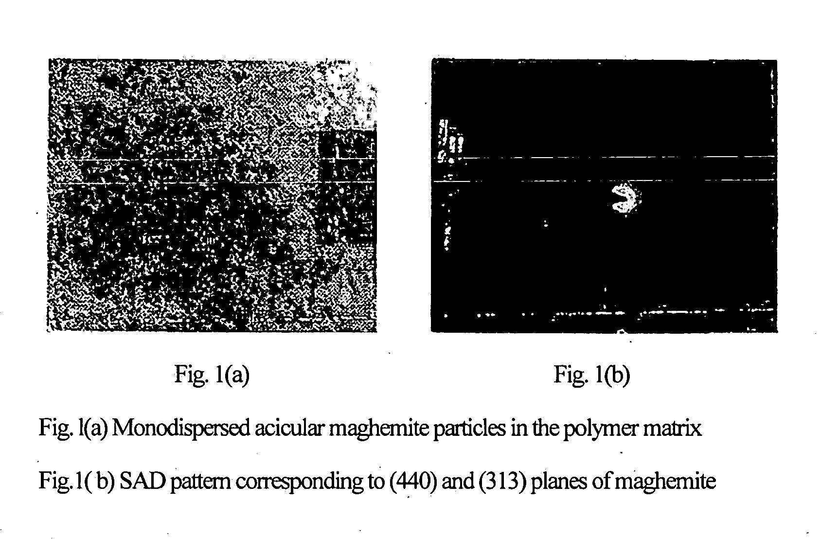 Single-step simple and economical process for the preparation of nanosized acicular magnetic iron oxide particles of maghemite phase