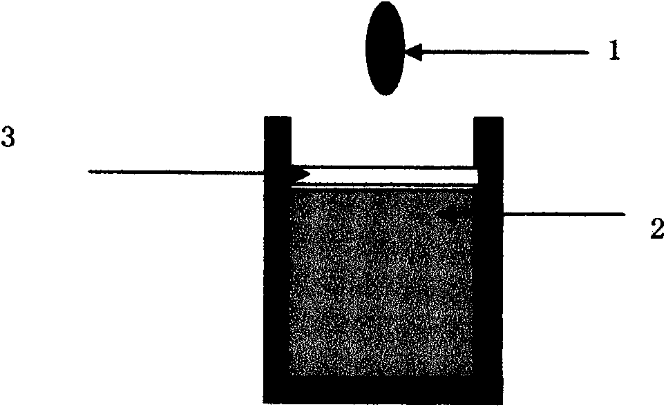 Carcinoembryonic antigen (CEA) rapid simple detection kit and making and application methods thereof