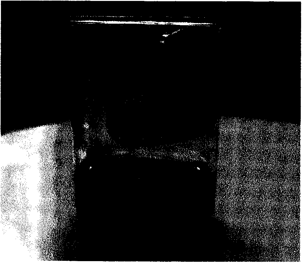 Carcinoembryonic antigen (CEA) rapid simple detection kit and making and application methods thereof