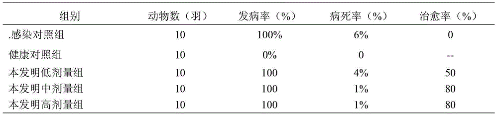 Traditional Chinese medicine oral solution for treating swine influenza and preparation method thereof