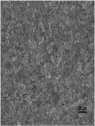 Low-cost and high-room-temperature plastic deformation magnesium alloy and preparation method thereof