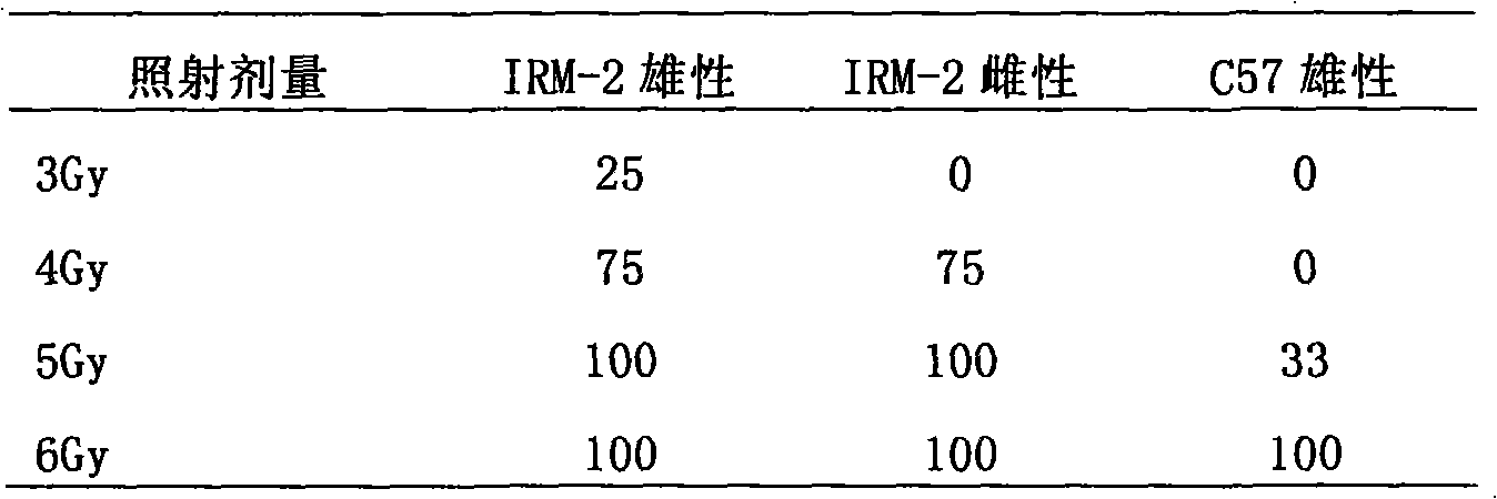 Method for establishing radiation induced vitiligo mice model and application thereof