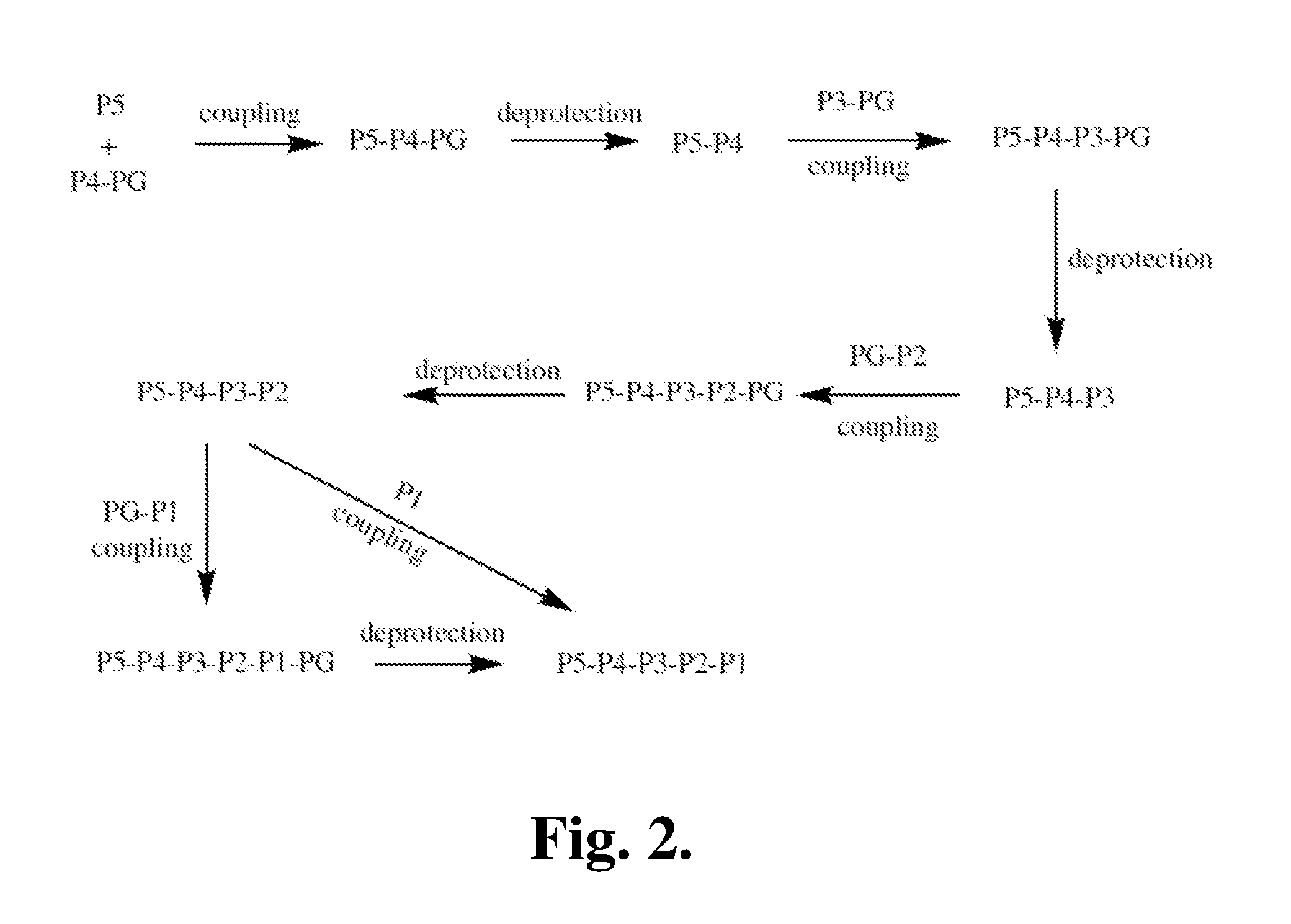 Covalent granzyme b inhibitors