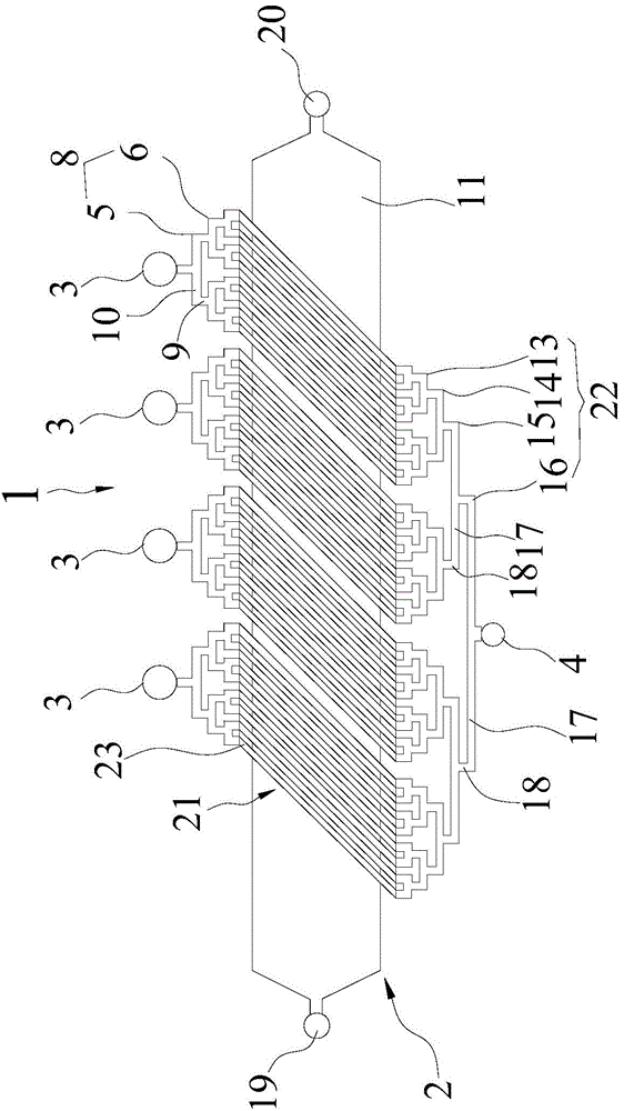 Double-layer microfluidic chip for tumor cell sorting