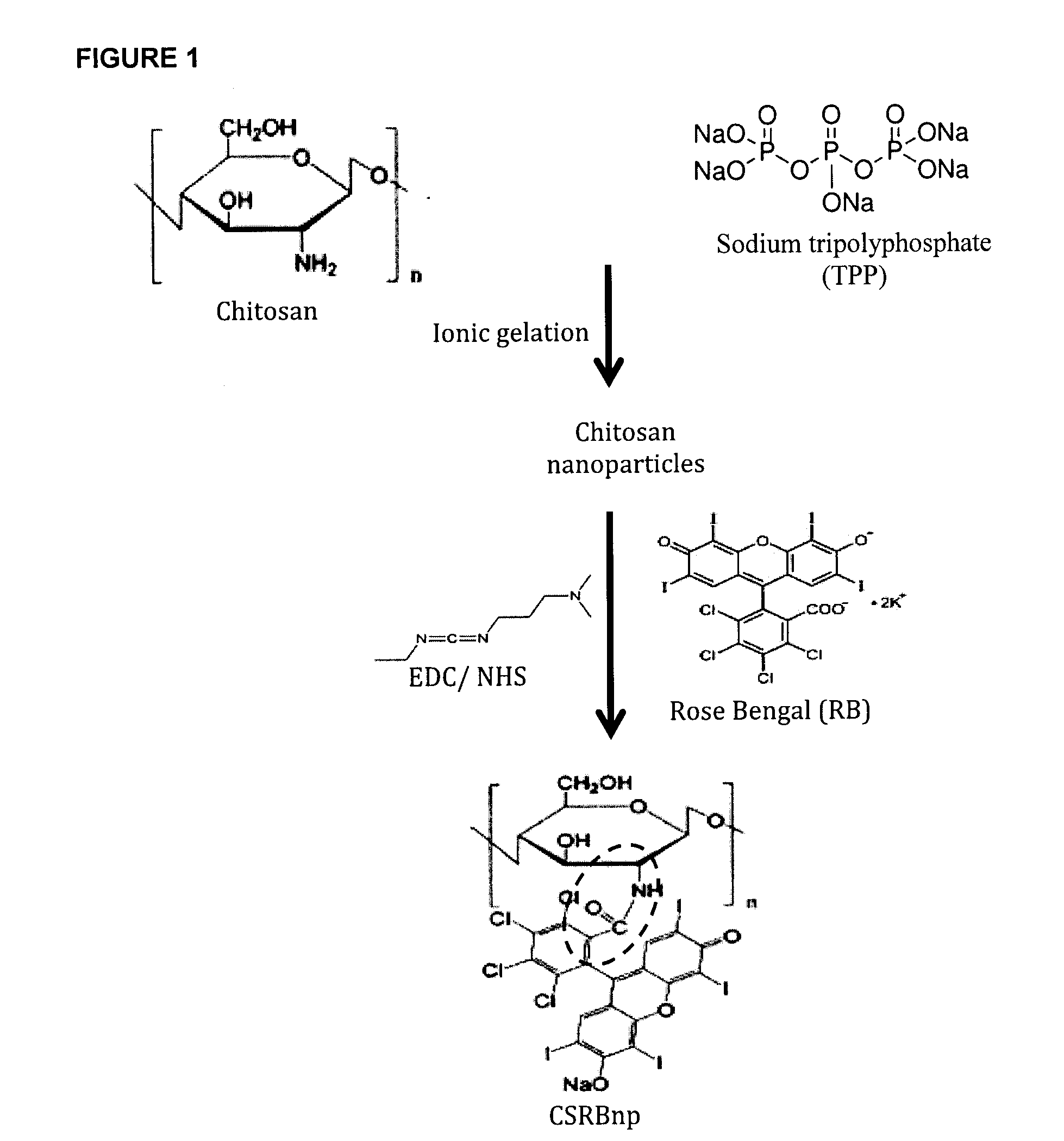 Multi-Functional Micro and Nanoparticles for Use in Root Canal Therapies