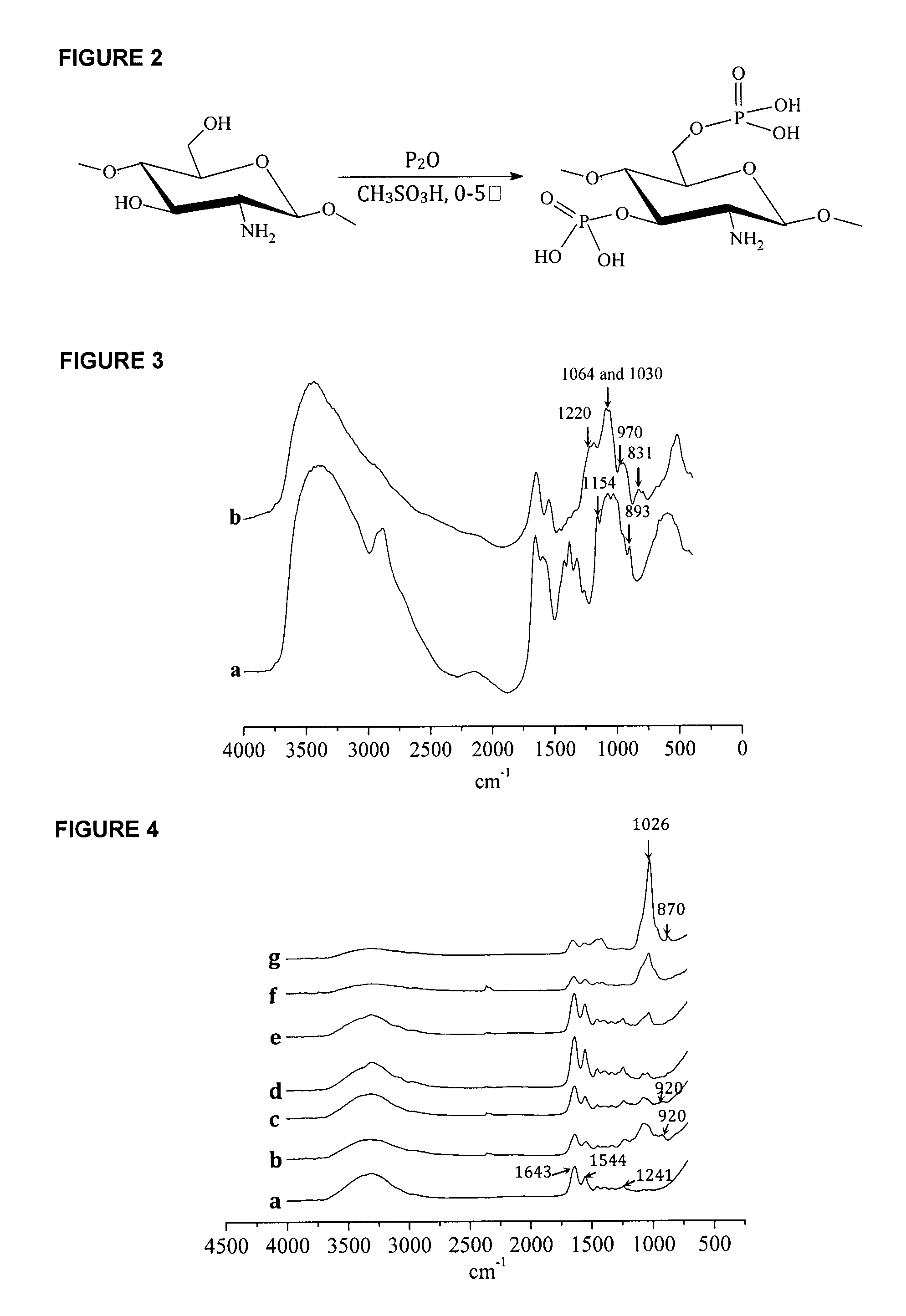 Multi-Functional Micro and Nanoparticles for Use in Root Canal Therapies