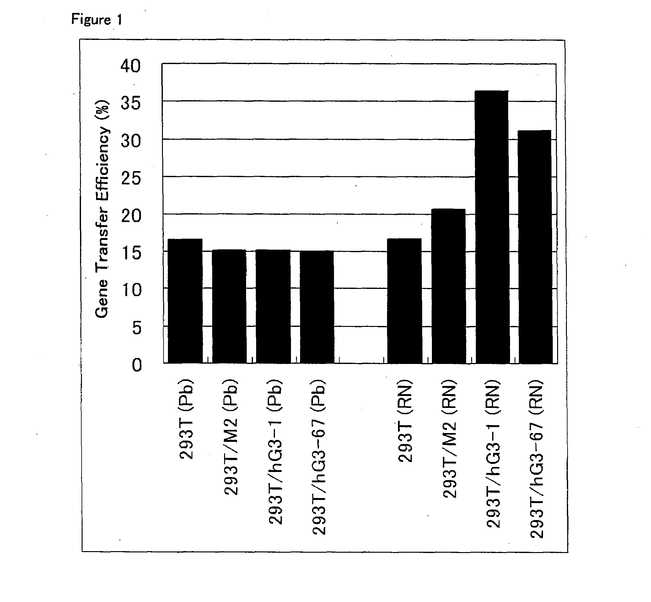 Cell for Producing Retrovirus Vector